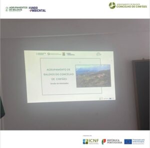 Apresentação do projeto ao Agrupamento
