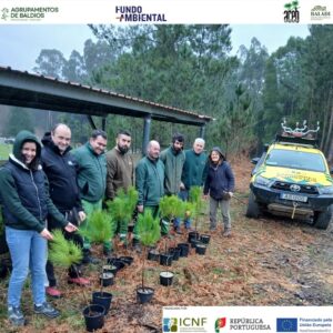 Baldio da Montaria acolheu ação de plantação e educação ambiental