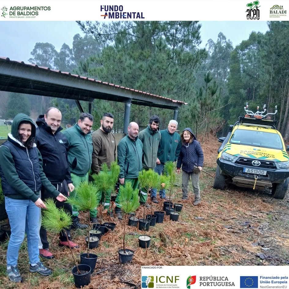 Baldio da Montaria acolheu ação de plantação e educação ambiental