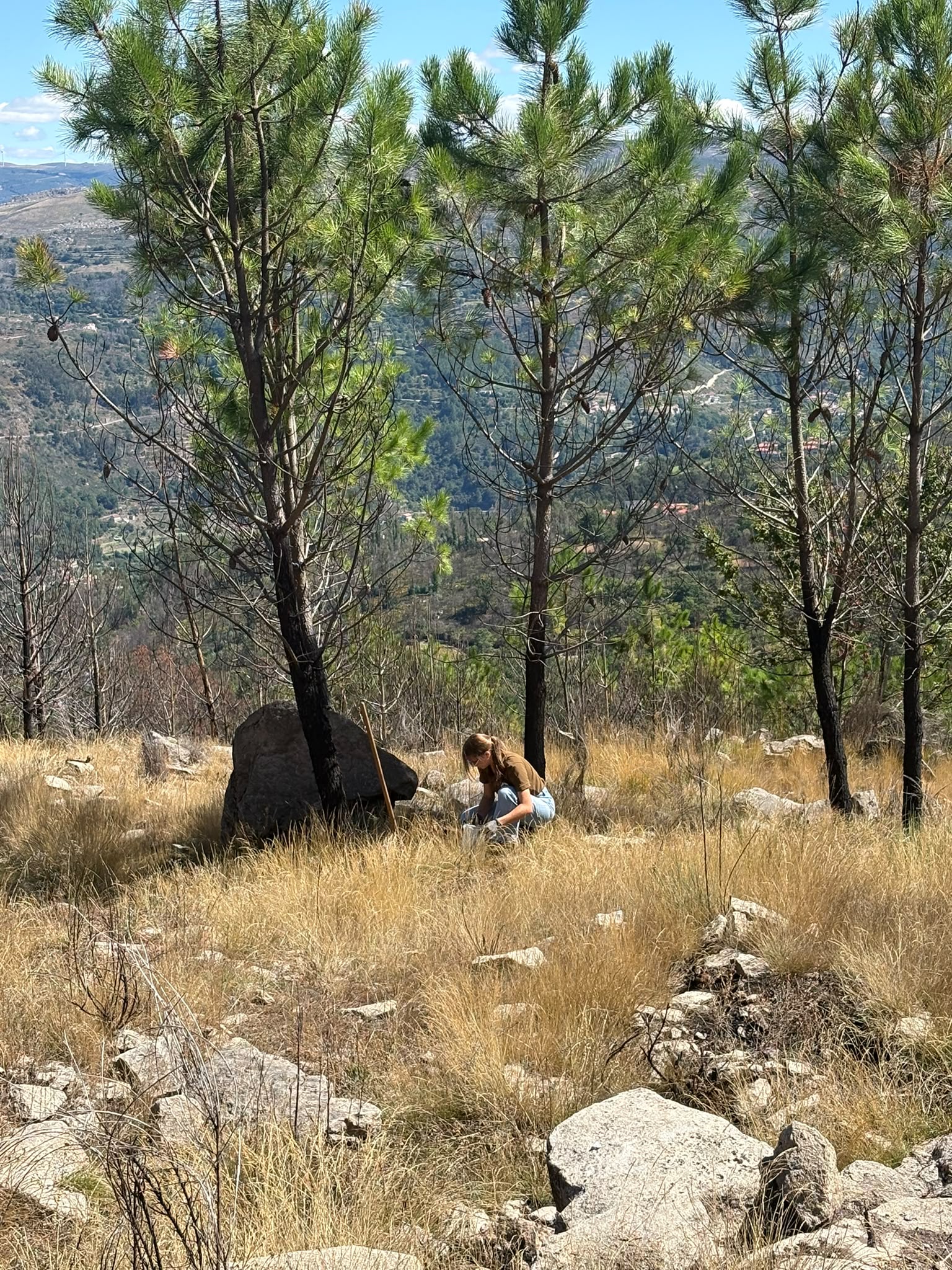 Início da Recolha de Amostras de Solo para Análise no AdB Cinfães