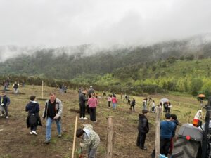 Juntos, plantamos hoje a floresta de amanhã