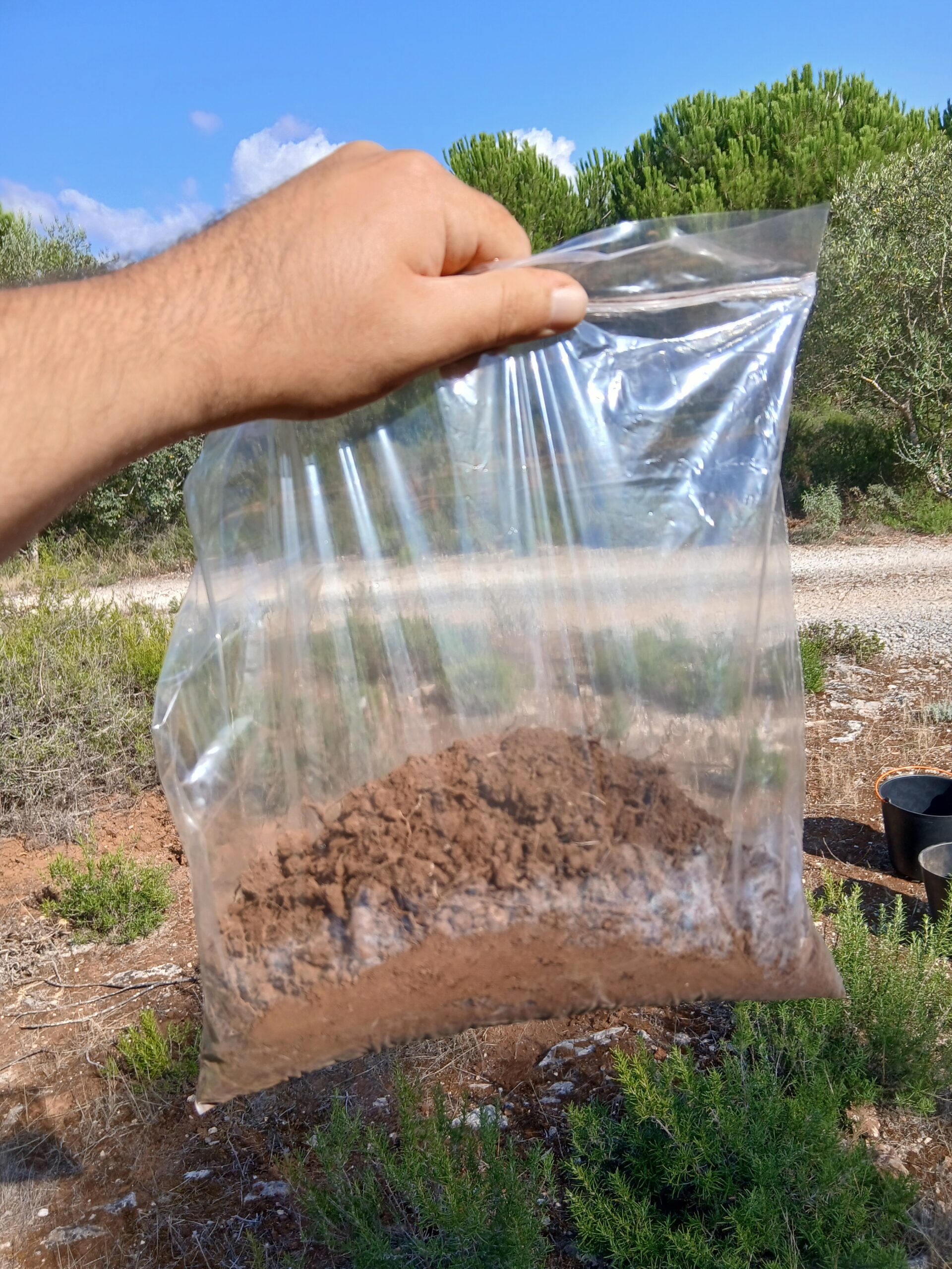 Recolha de Amostras de Solo