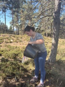 Recolha de amostras de solo
