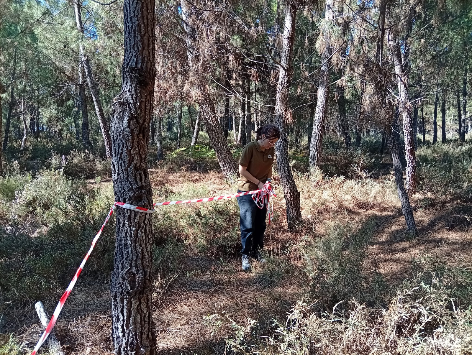 Recolha de Amostras de Solo